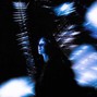 Judah Jump - Midnight Marauder
