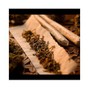 JuiceProductionz - *Seen It All*
