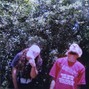 CRCL - EVERLAST