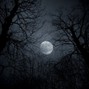CRCL - lycan