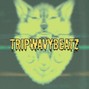 TRIPWAVYBEATZ - NO LIFE