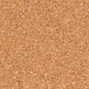 douglasses - bronze shampoo