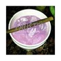 JUX SOUNDZ - Frosted (prod. JUX)