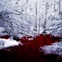 J'suisRoman - Blood On The Snow