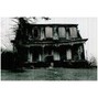 Black Koi - Old House
