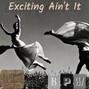 BlocBoy Polo - Exciting Ain't It