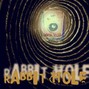 BlocBoy Polo - Rabbit Hole