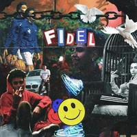 ProdFidel