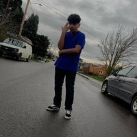 503lucid
