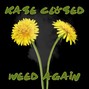 Kase Closed - Weed Again