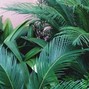 blu - hella sketchy x marcelo type beat