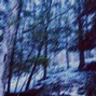 FENRIS (COMA6) - Falling