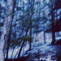FENRIS (COMA6) - Heart