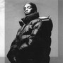 Bian90s - RIP Big L - 90s OldSchool Type Beat Dj Premier | Underground Hip-Hop Boom Bap Type Beat Dj Premier