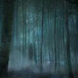 Lukerman - Hollow Grounds