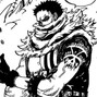 k0za - katakuri
