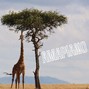 Beats by Hansba - Afternoon Sun