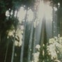 Florett - Lost