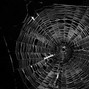Andy Atlantis - Tangled Web