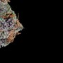 bxkelly - Tropicana Cookies