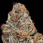 bxkelly - Cherry Gas #2