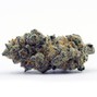 bxkelly - Apple Fritter
