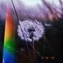 mynameisforte - bubbles.