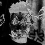 Kino Rose - GLORY