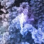 MANADRA1N - just an illusion (prod. manadra1n)
