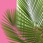 Isaiah Dakarai - Mary Goin Round