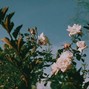 lumi - vibe (khalid x bryson tiller type beat)