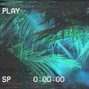 KILLER MANTIS - SHADOWS