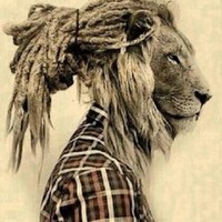 Natty riddim beats