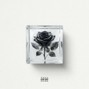 DAHIT MAKAZ - BLACK ICE