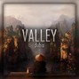 dvbs - Valley (buy 2 get 1 free)