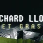 Richard Lloyd - WET GRASS