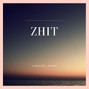 Unknown Pasha - Zhit