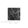 Unknown Pasha - We do