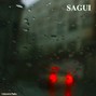 Unknown Pasha - Sagui