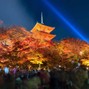 1ups - Dicing in Kyoto