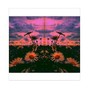 Kiz16 - Flowers