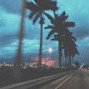 Vizzie - 40 LAP