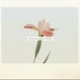 Caruzo - wish you still cared