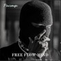 Phazemega - FREE FLOW MIND