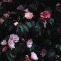 Lil Light - Forget