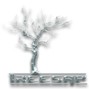 Treesap - treesap302