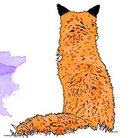 Philippe Renard