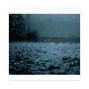 Kollux  - RAIN
