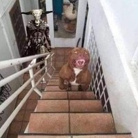 Oh-Hi