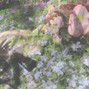 ecchiboi - ⁺˚*・marble call・⁺˚*･༓